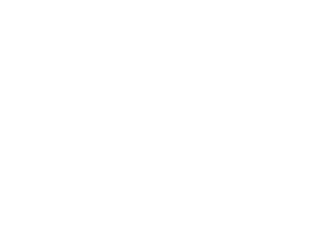 Raro Studio